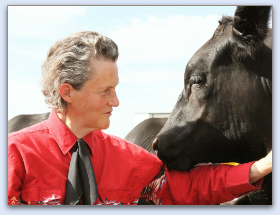 temple grandin